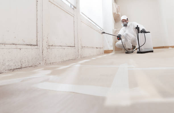 24/7 Emergency Mold Remediation experts in Morrisville, PA