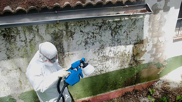 Top rated local Mold Remediation specialists in Morrisville, PA